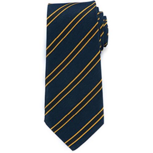 preppie regimental tie navy
